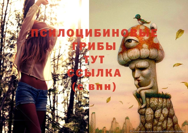 гидра Горно-Алтайск