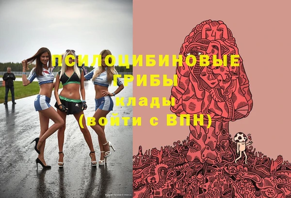 гидра Горно-Алтайск