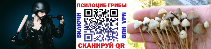 Купить закладки  Усть-Джегута  Псилоцибиновые грибы прущие грибы 